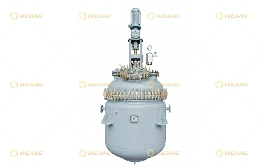 Glass Lined Storage & Reaction Vessel