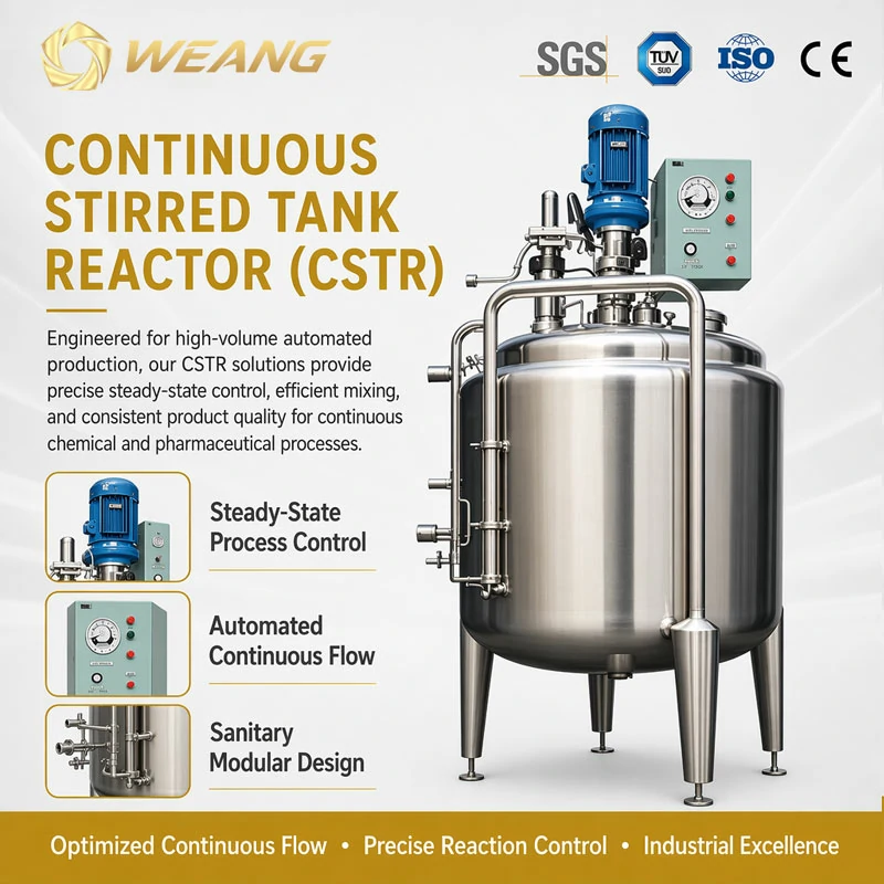 Continuous Stirred Tank Reactor