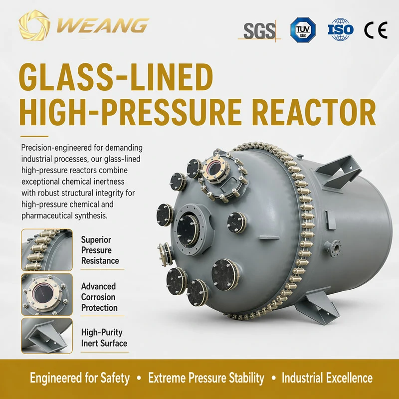 Glass Lined Pressure Reactor